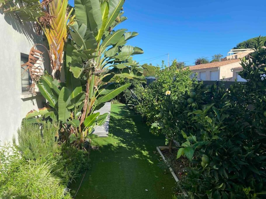 Holiday home Livia Porticcio Piscine 500m Porticcio (Corsica)